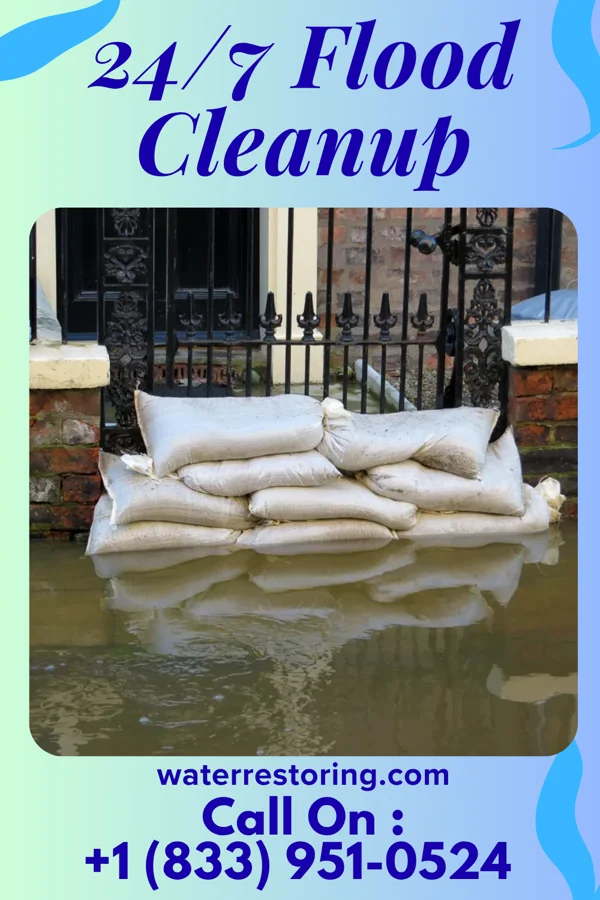 24/7 Flood Cleanup in Georgetown, MS